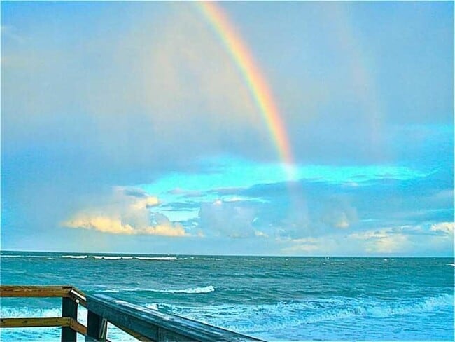 Photo - 5400 Jimmy Buffett Mem Hwy Unit 17