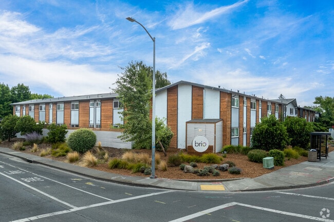 Photo - Brio Apartments