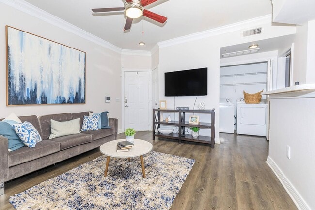 Photo - Cypress Lake