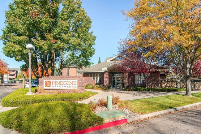 Photo - Pinecone Apartments