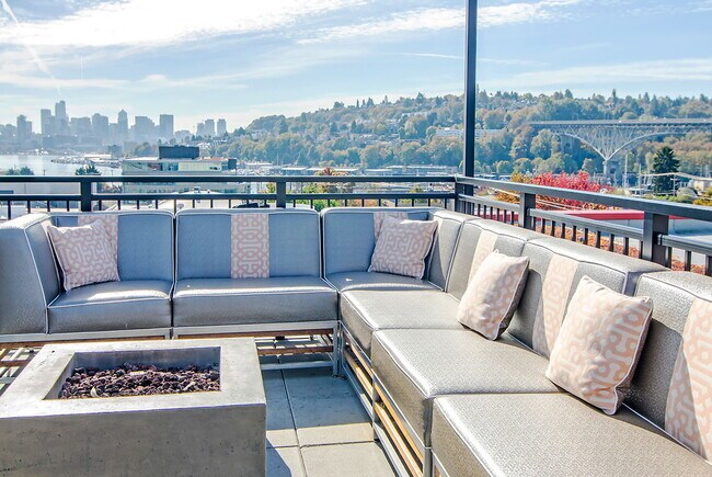 Photo - Velo and Ray