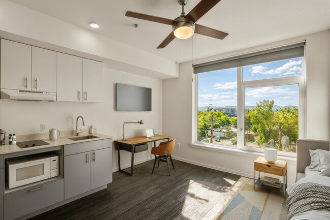 Photo - Koz on Sandy