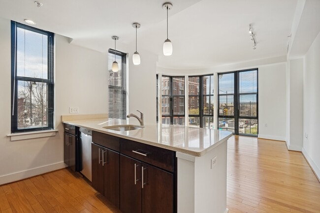 The Griffin - The Griffin