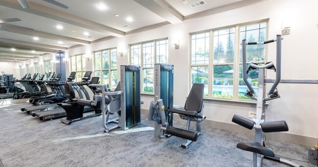 Photo - Bradley Park