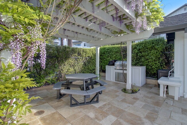 Photo - McInnis Park