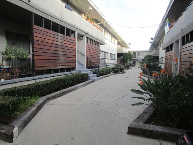 Photo - Venice Dreams