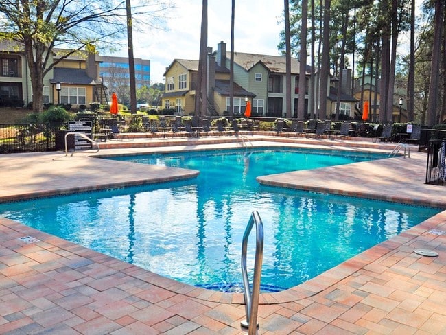 Photo - The Lory of Perimeter