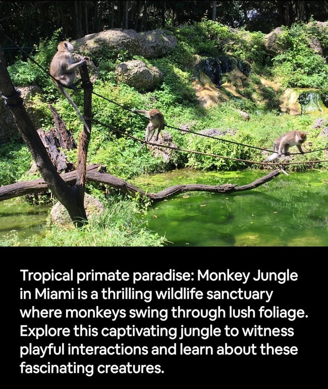 Photo - 19661 SW 340th St Unit SI ID1460112P