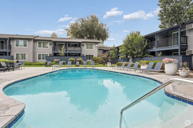 Pool - ReNew Berryessa