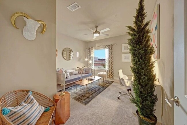 Photo - Metropolitan