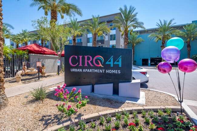 Photo - CIRQ 44