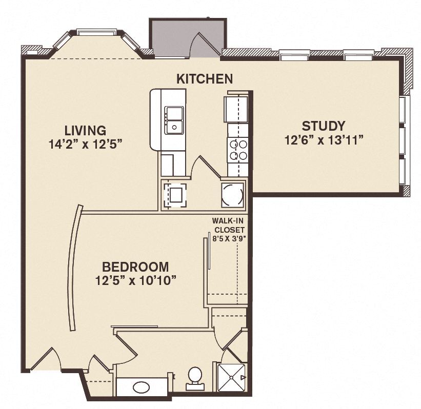 Floor Plan - 1 Bdrm Study