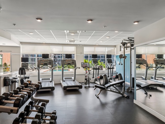 Photo - Terraces at Manchester