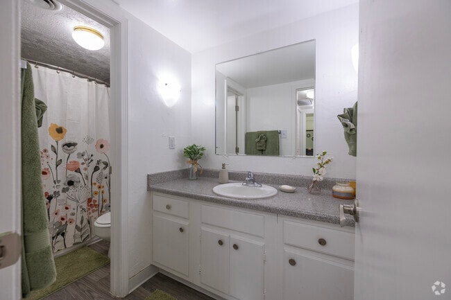 1 BR, 1 BA 753SF - Villa Apartments