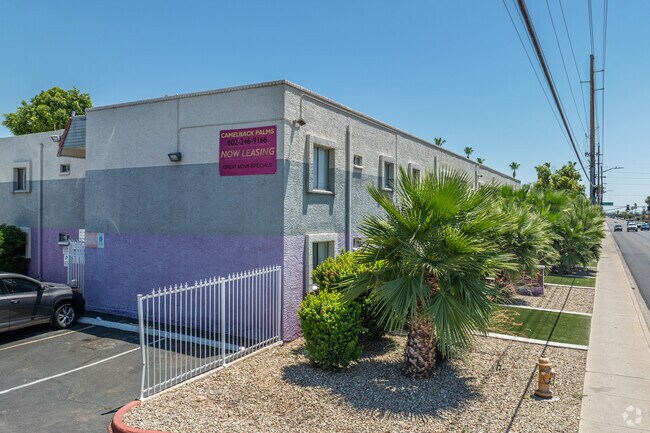 Photo - Camelback Palms