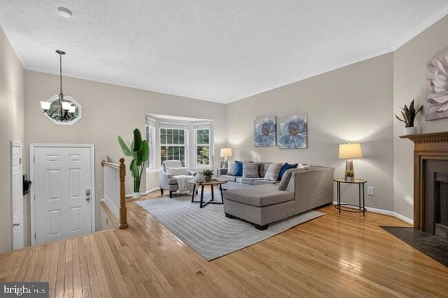 Photo - 3609 Buckeye Ct