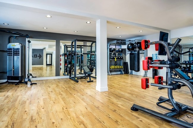 Photo - Tierra del Rey