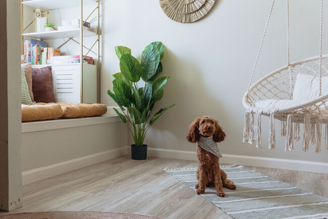 Photo - 308 Lamont St Unit ID1397959P