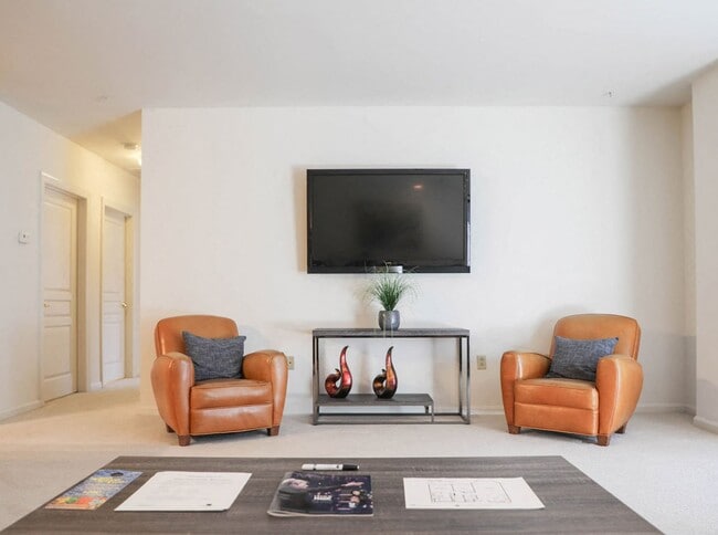 Expansive Lounge - Symphony Center Apartments