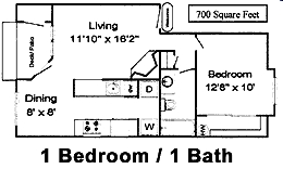 1BR/1BA - 1x1 L