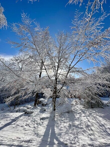 Photo - 5451 River Rd