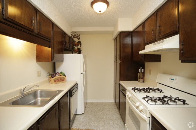 1BR, 1BA - 775 SF - Tanglewood Apartments