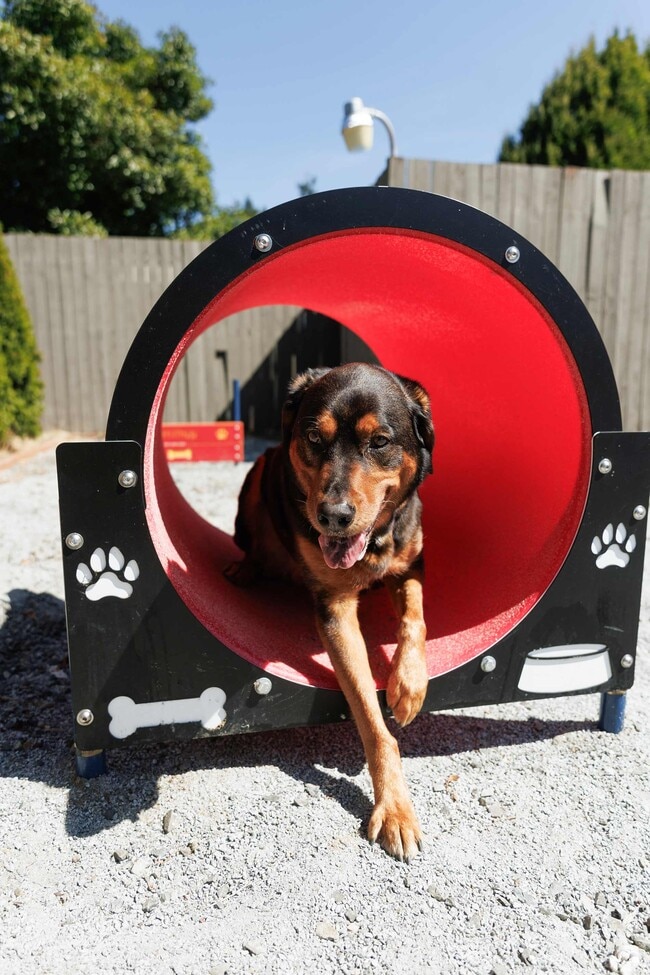 Photo - Hilltop in the Highlands