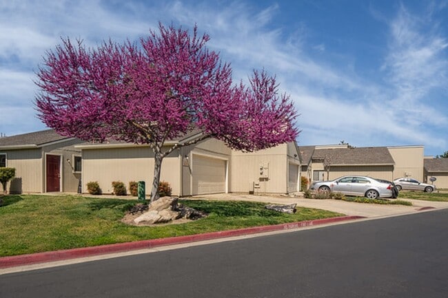 Photo - Burgundy House Apartments