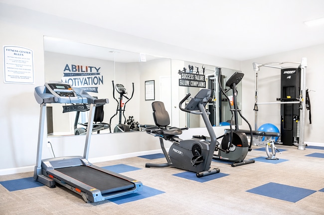 Photo - Spring Brook