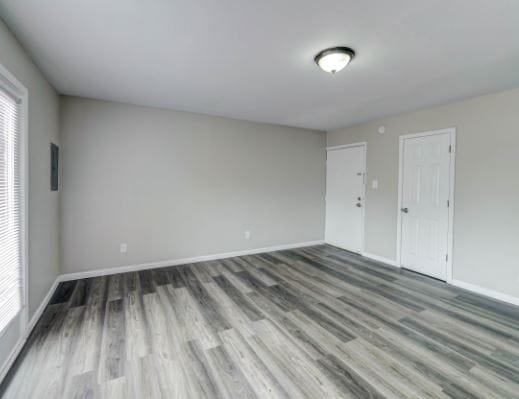 Photo - Spanish Oaks