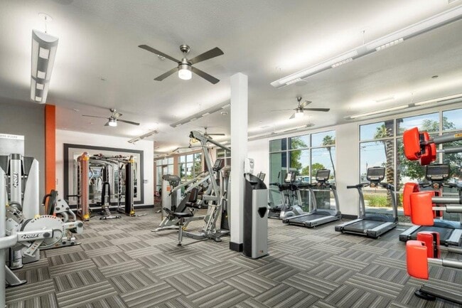 Photo - Skye at McClintock Station