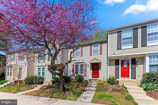 Building Photo - 1246 Seminole Dr