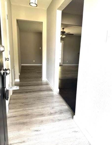 Photo - 13806 Hollypark Dr