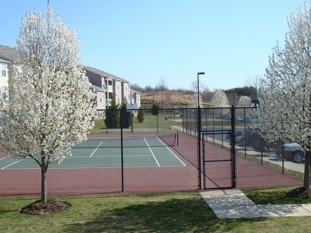Tennis Court - Malvern Lakes Apartments