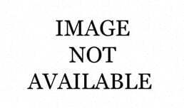 Floor Plan - 1 Bedroom - 01 Tier