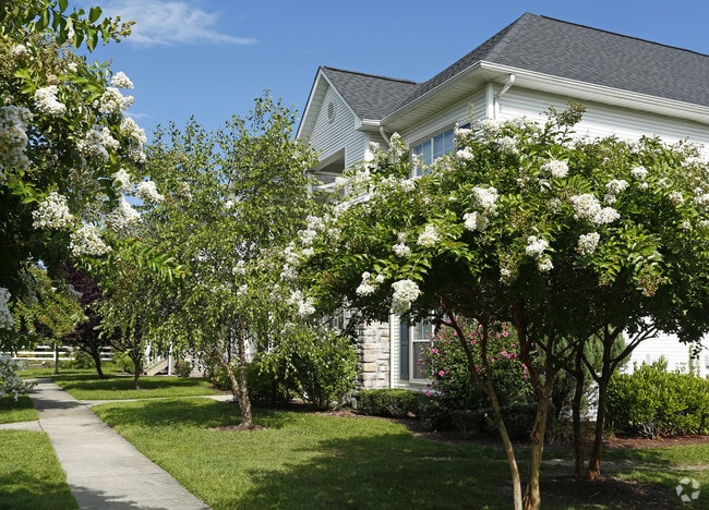 Photo - Pointe At Wimbledon