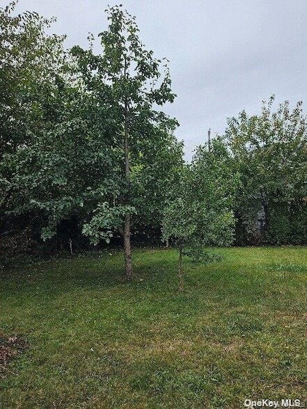 Photo - 806 Oliver Ave