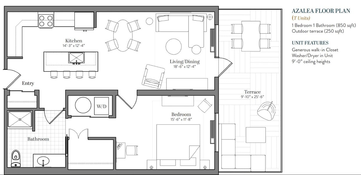 Floor Plan - Azalea w/ Terrace 2-C