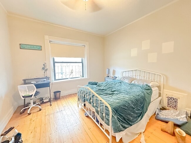 Photo - 36 St Stephen St