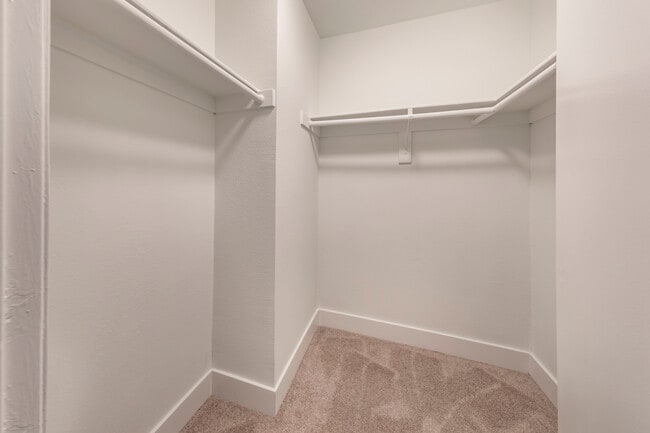 Renovated Package I closet - Avalon Woodland Hills