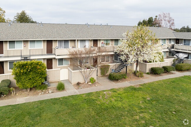 Photo - Los Gatos Gardens