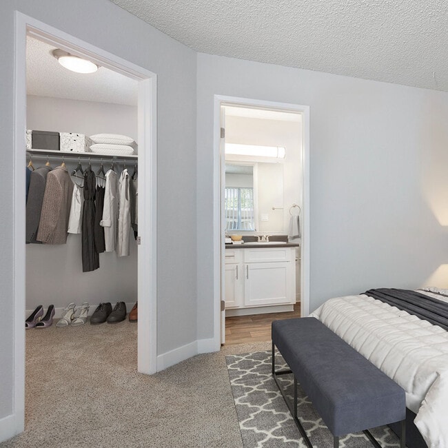 Photo - Autumn Springs