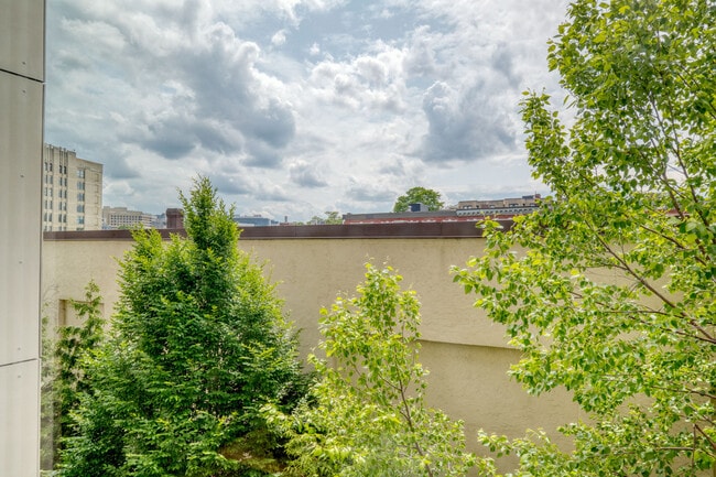 Photo - 9 Miner St Unit FL1-ID927