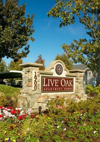 Photo - Live Oak Apartments