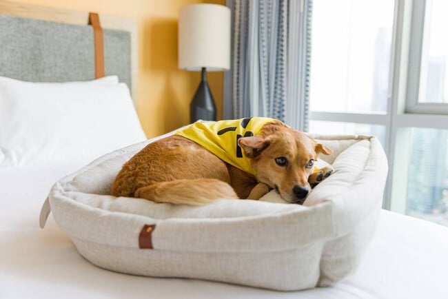 Building Photo - 516 Lea Ave Unit ID1226720P