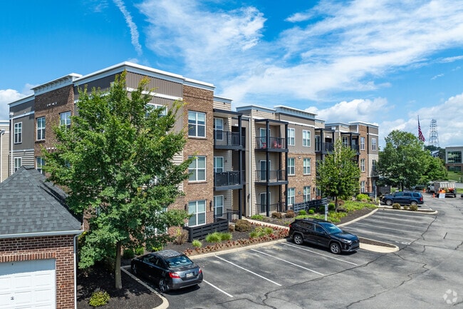 Photo - Stafford House