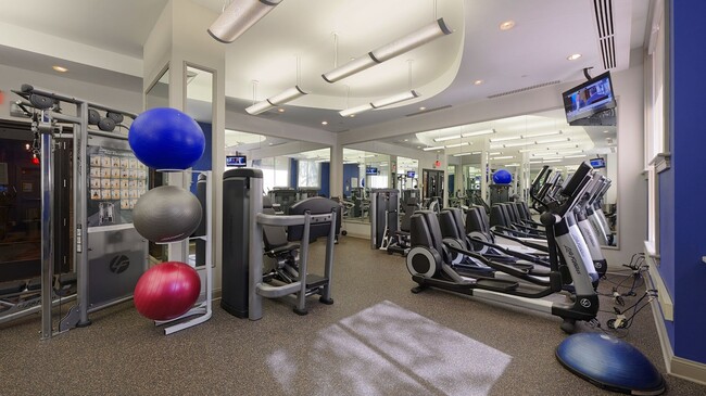 Photo - The Esquire on Fifth