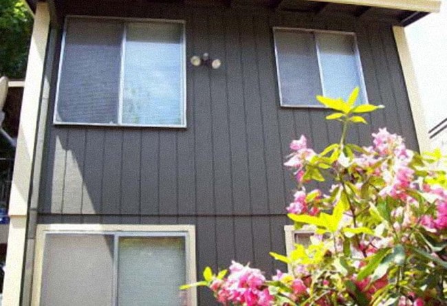 Photo - Timber Terrace