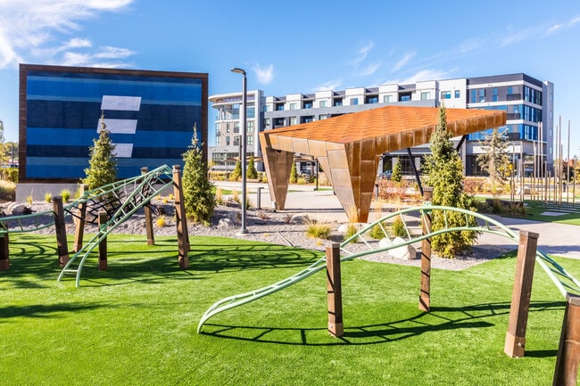 Photo - Basecamp at RED