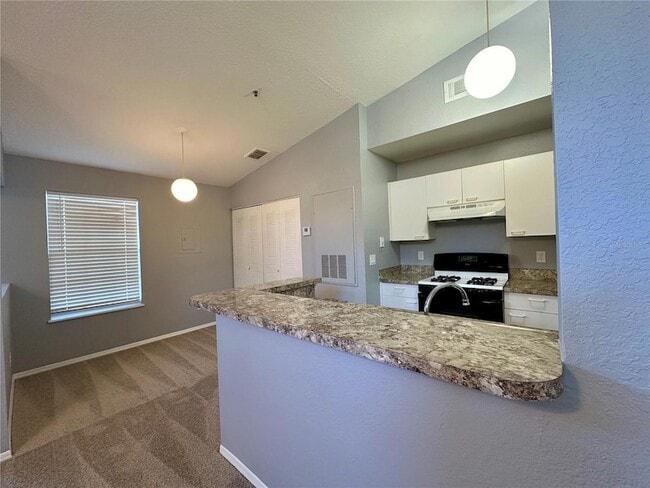 Photo - 1620 Columbia Arms Cir Unit 262